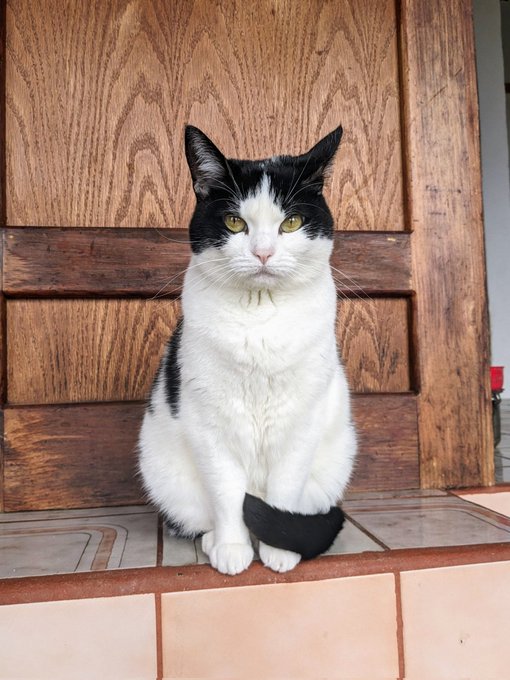 Munchie bb ❤️ https://t.co/xkWoDHBuYv