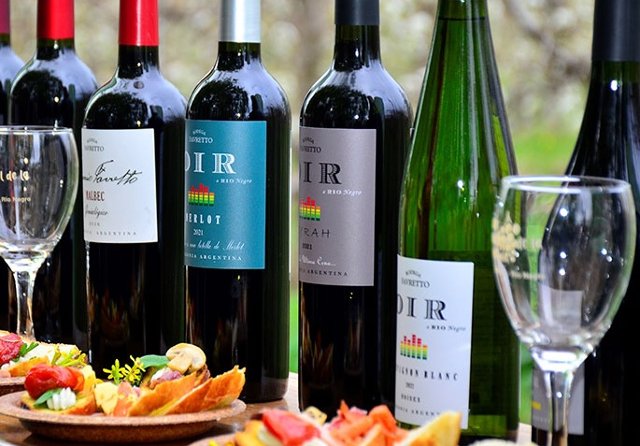 fabianmitidieri.blogspot.com/2024/02/bodega…
La Bodega Favretto nace en la década del 40 implantando vides y construyendo las primeras piletas para arrancar a comercializar vino hacia fines de esa década.