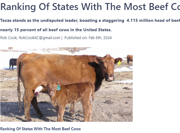 CLARA: Revolutionizing Livestock Market Insights tweet media