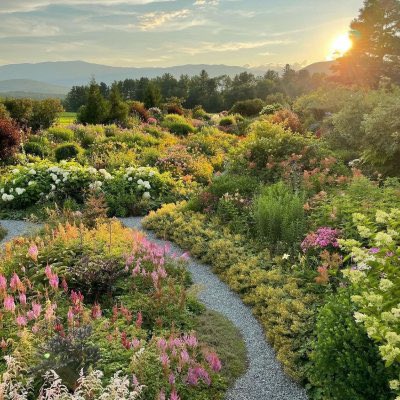 cosypixie's tweet photo. 𝚑𝚘𝚖𝚎 𝚘𝚏 𝚝𝚑𝚎 𝚏𝚊𝚒𝚛𝚒𝚎𝚜 🌿🧚🏽‍♀️🫧 https://t.co/jsbtliY4nW