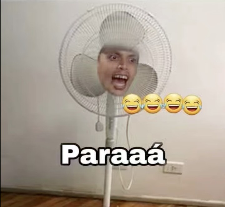 Mi ventilador viendo que lo llevo de la pieza al comedor y del comedor a la pieza