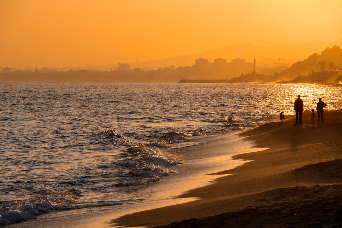 Un futur incert.
El Masnou, febrer 2024.
<a href="/MuseuBdn/">Museu de Badalona</a> <a href="/SonyEspana/">Sony España</a> <a href="/Foto_K/">Foto K</a> <a href="/Nicolastimica/">Nicolás Jódar Fotok</a> <a href="/NatGeoEsp/">National Geographic España</a>