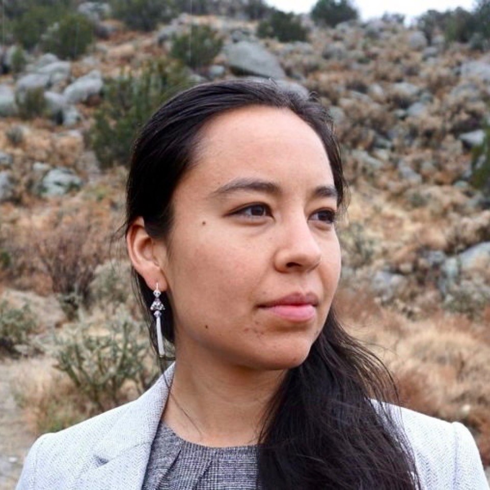 Join our online conversation with Dr Lyla June Johnston, Diné Nation.
Indigenous sciences of sustainability: ancient native food systems and their lessons for the future.
📆Sun 18 Feb 6pm  <a href="/ecoSJP/">Earth Justice at St James's Piccadilly</a>
sjp.org.uk/whats-on/in-co…