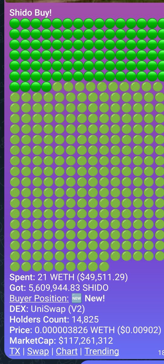 Rick.SHI20 tweet media