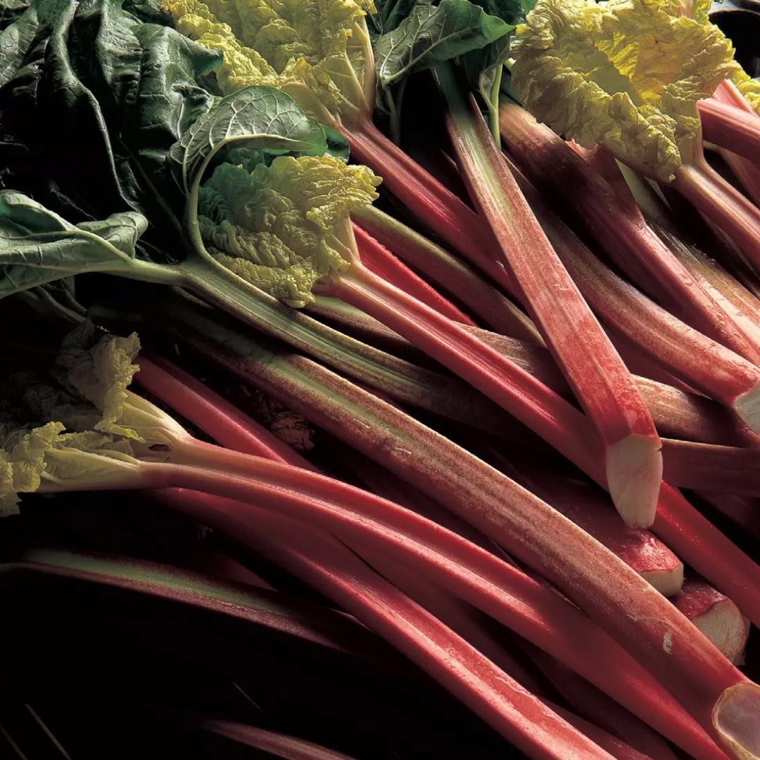 DeliaOnline's tweet photo. Our A-Z Ingredients Glossary - Rhubarb.  This month look out for the tender, pink stalks of forced rhubarb, which have a delicate youthful flavour:  https://t.co/FfPts5efIP #rhubarb #yorkshirerhubarb #ingredients #forcedrhubarb #rhubarbrecipes https://t.co/9zuErl5pES