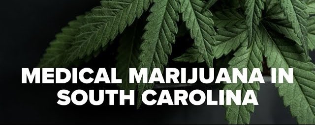 Tom Davis tweet media