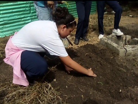 ClaradeCordero1's tweet photo. Retomamos la siembra  en el huerto escolar. 🌱🌱🌱🌱🌱 Gracias a la profesora Carmen de la  U.E.E. José Atananasio Girardot https://t.co/aoDGCK5yZ8