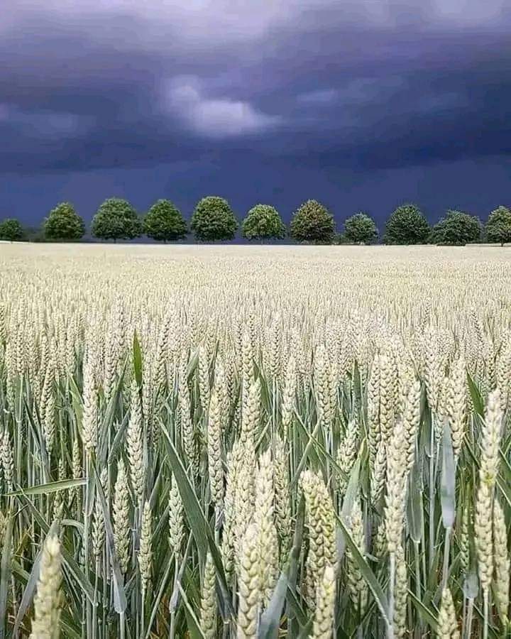 BrightS63465094's tweet photo. Nature❤❤
#NaturePhotograhpy #LoveIsland https://t.co/MG9oBud5AE