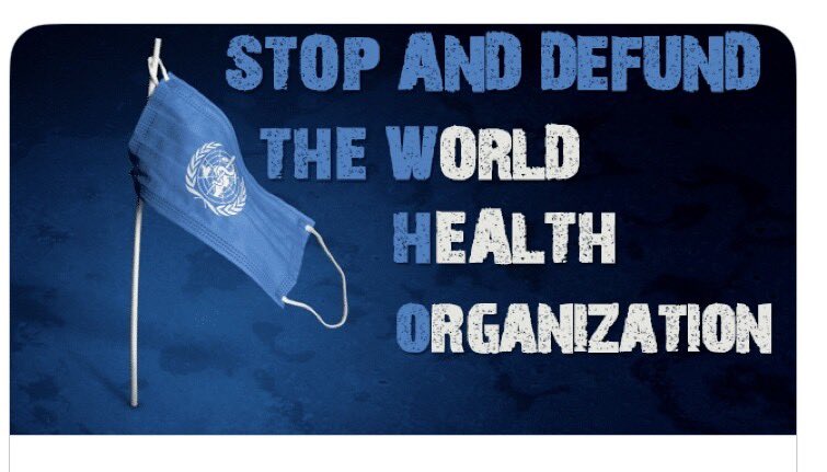 LET'S JUST DEFUND THE UN, WEF, THE MEDIA, PLANNED PARENTHOOD AND THE WHO AND SORT IT ALL OUT AFTER THEY ARE ALL GONE OUT OF OUR LIVES. WHY ARE WE FUNDING ORGANIZATIONS THAT ARE PLANNING AND ACTIVELY WORKING TO DESTROY AND ENSLAVE US AND USING OUR OWN TAX MONEY RESOURCES TO DO IT!