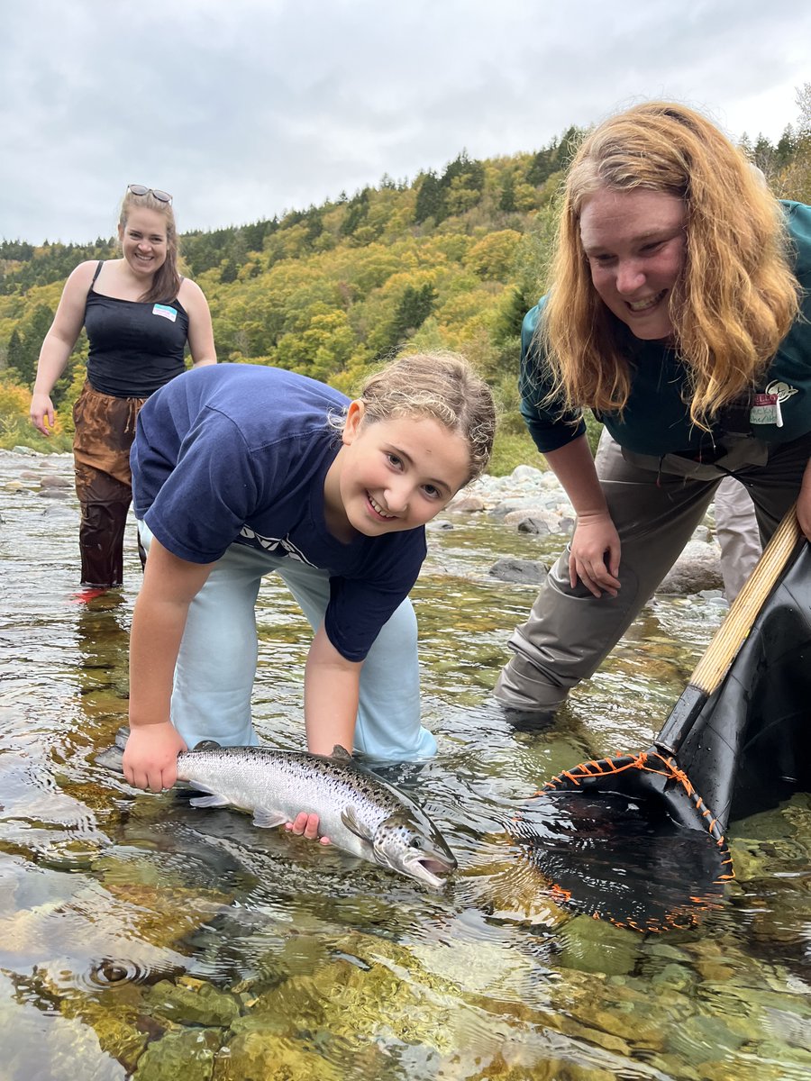 terranautclub's tweet image. Excited to be hiring a 🌿Program Coordinator ⚛️ to join our team! We'll also have 3 summer positions opening up within the next month.
Learn more: terranautclub.com/jobs-2/
🐟 Please share!
#STEMinists #environmentaleducation #STEMeducation #marinebio #wildlife