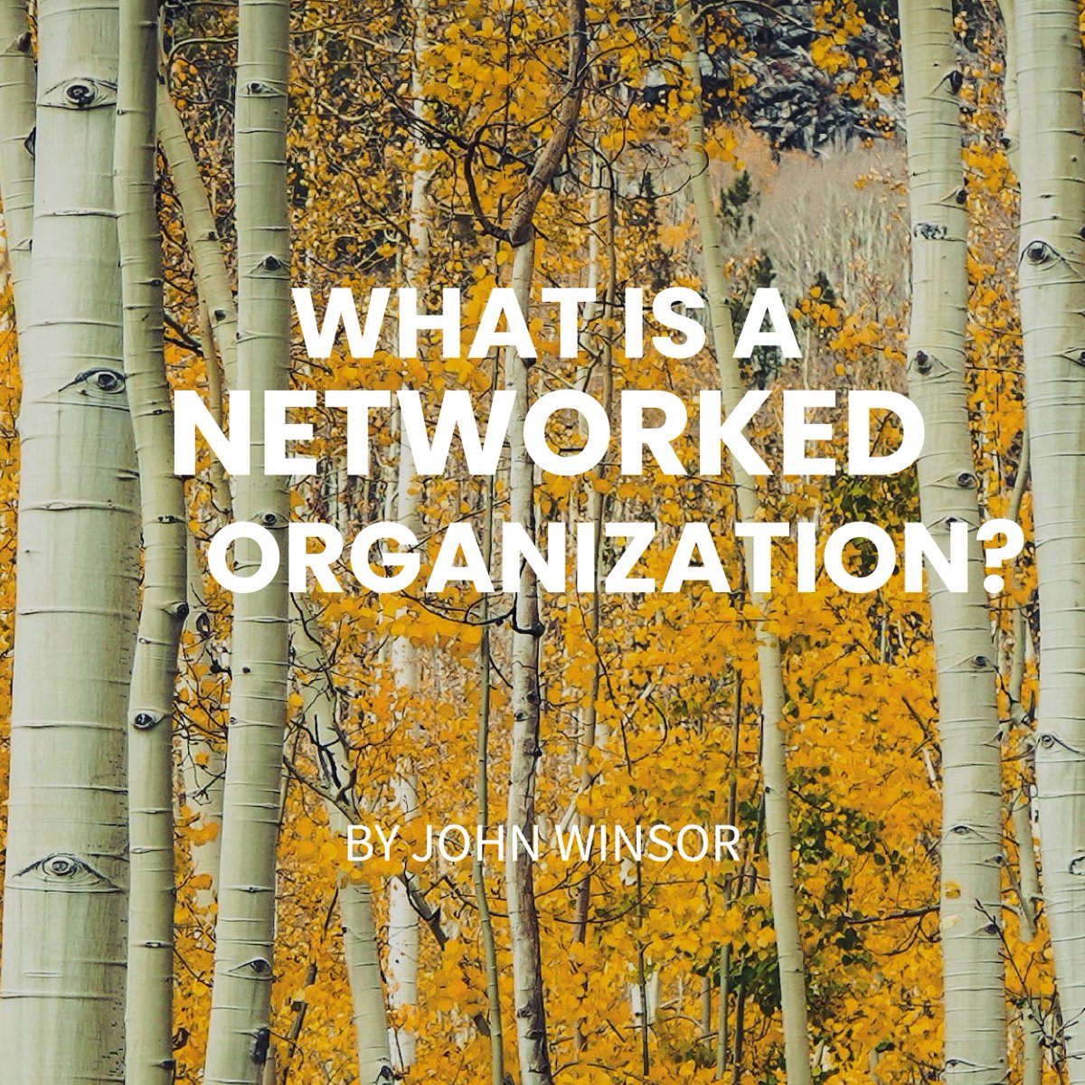 My @HarvardBiz Magazine Jan/Feb feature article took a deep dive into external talent clouds. As a follow-up, we are creating a series of articles about specific parts of my book, #OpenTalent, #1: What is a Networked Organization? open.substack.com/pub/johnwinsor…