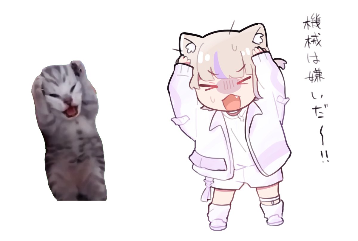 saka11205's tweet image. 🐱