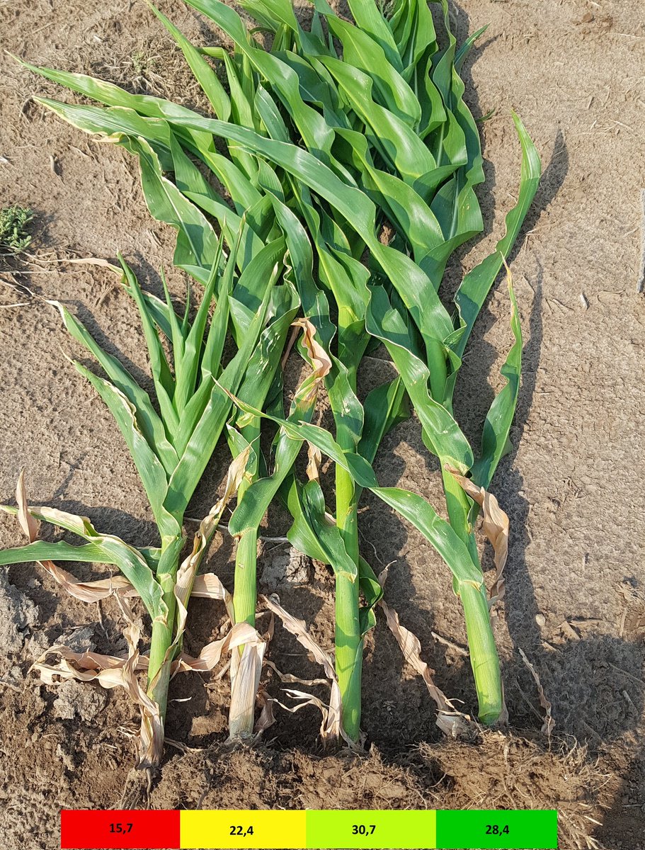 Juan Martin tweet media