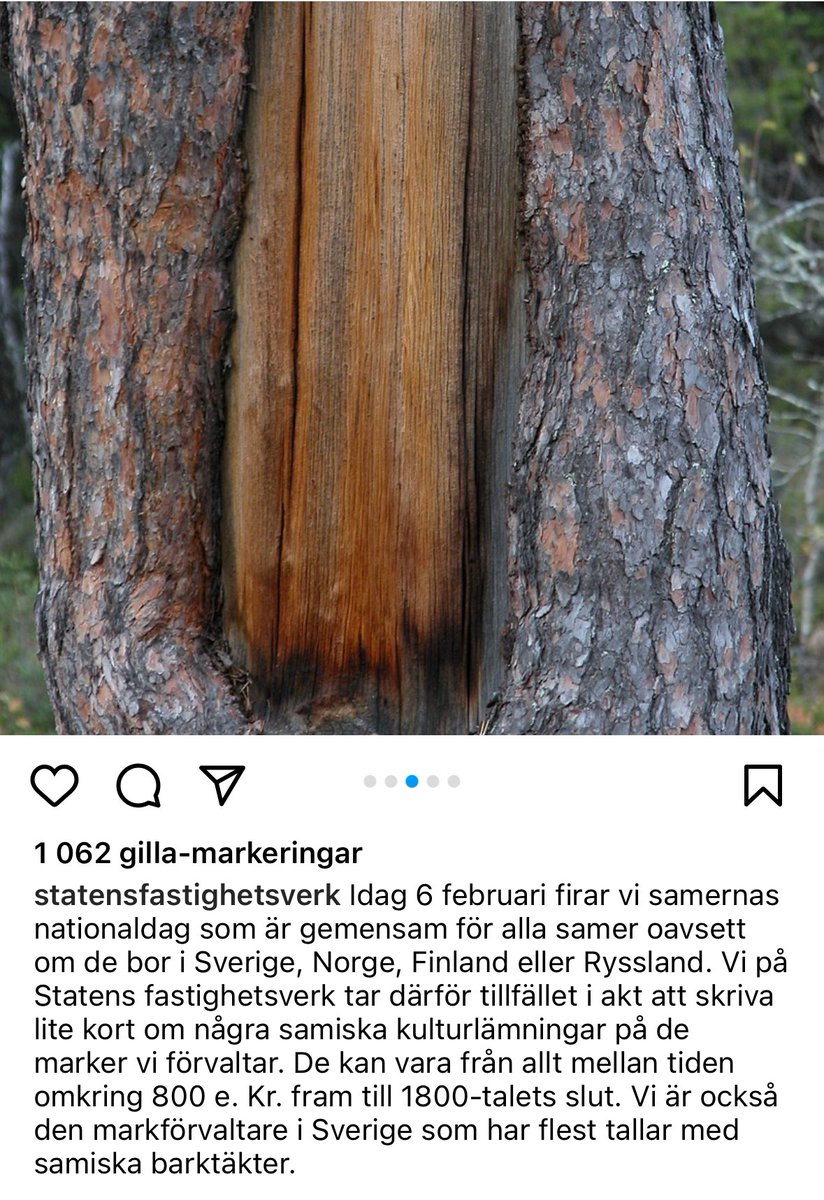 henrikblind's tweet photo. Det samiska folket vet allt om Statens fastighetsverks skogsbruk i Sápmi. Visa handling istället för att använda de fina orden på vår nationaldag. Ställ om, återställ och sluta skövla de samiska kulturlandskapen. Låt lavskogarna leva. 
#sámiálbmotbeaivi https://t.co/VfQt74QKNu