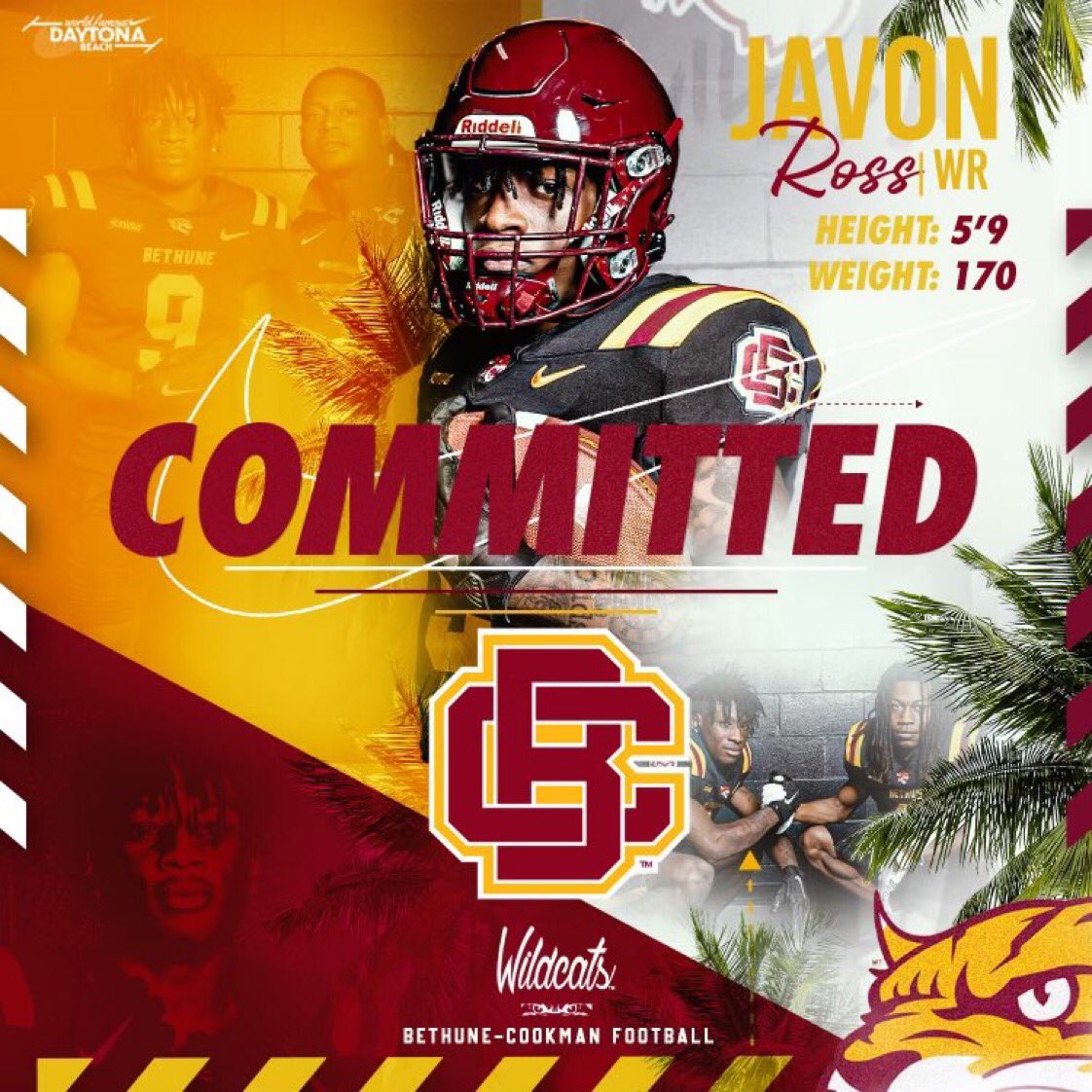 HailWildcats tweet media