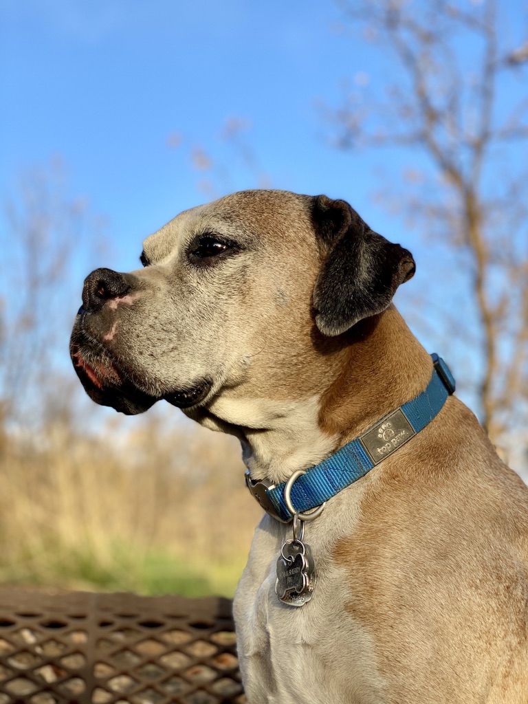 Clint Fix tweet media