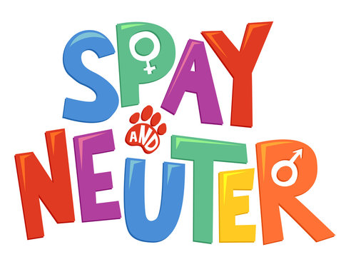 New on The Kaptain's Table Podcast: Spaying &amp; Neutering - When is the Right Time?

Join Dr. Jeff Pelton as he dives deep into one of the most common questions pet owners face - the optimal timing for spaying or neutering dogs and cats.

Listen on YouTube: youtu.be/C0d34_cyS4Y