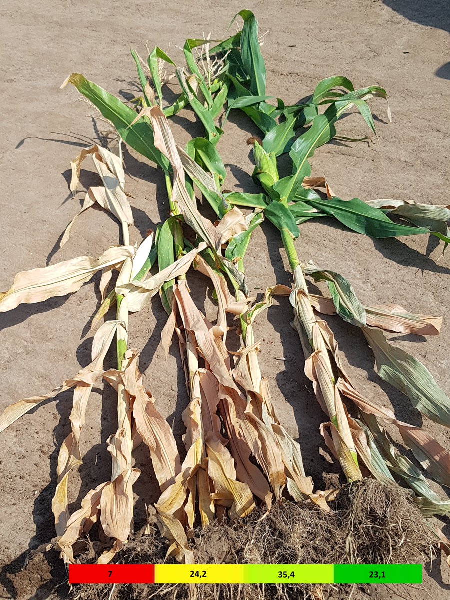 Juan Martin tweet media