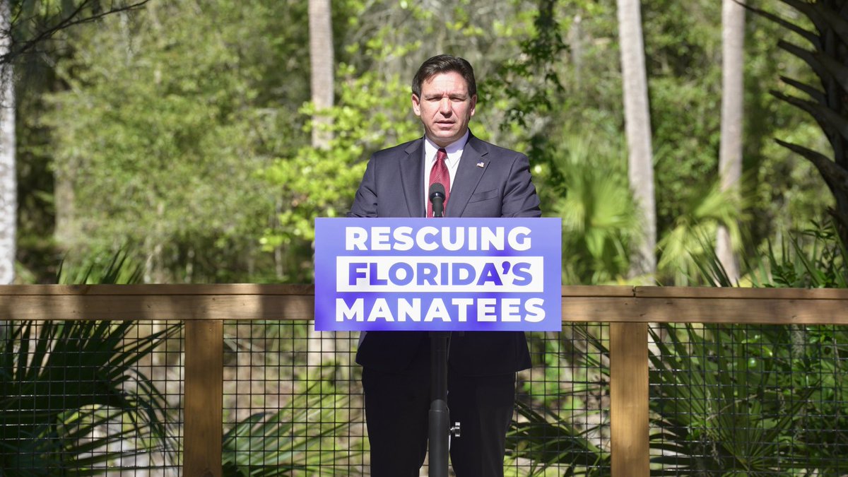 This year, Blue Spring State Park saw a record 932 manatees in a single day.
 
Our unprecedented investments in manatee rescue and rehabilitation efforts have allowed the manatee population to increase and the mortality rate to decline.
 
Thanks to FWC for the great work!