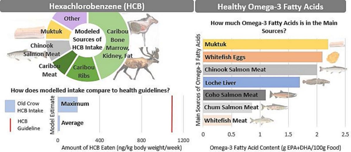 Centre For Hydrology (@centreforhydro) on Twitter photo Traditional 'country' foods still an important source of nutrients and other health benefits in the Yukon: health benefits outweigh contaminant risks sciencedirect.com/science/articl…
<a href="/Dr_KellySkinner/">Kelly Skinner</a> @SaraPacMac <a href="/GWF_pubs/">Global Water Futures Publications</a> Traditional 'country' foods still an important source of nutrients and other health benefits in the Yukon: health benefits outweigh contaminant risks sciencedirect.com/science/articl…
<a href="/Dr_KellySkinner/">Kelly Skinner</a> @SaraPacMac <a href="/GWF_pubs/">Global Water Futures Publications</a>