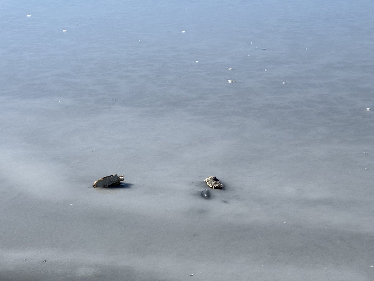 Winter on the lake