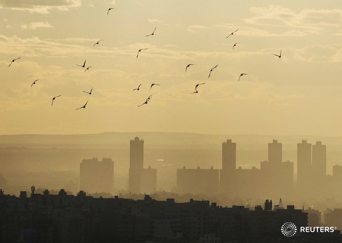 AmrDalsh's tweet photo. Birds fly during sunset with Cairo skyline visible in the background, during foggy cold weather, Egypt February , 2024. REUTERS/Amr Abdallah Dalsh https://t.co/oCoxIaK2Eu