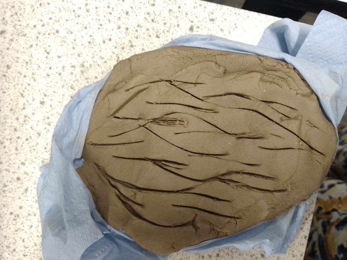 Inspired by the living tiles of <a href="/algaegrrrl/">Brenda M Parker</a> Brenda Parker, we've been making our own designs as part of our #WomenInScience celebrations!
<a href="/GACoventry/">Grace Academy Coventry</a>