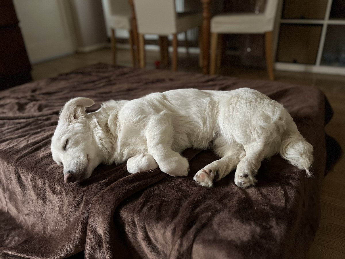 Emily Dance Bristol tweet media