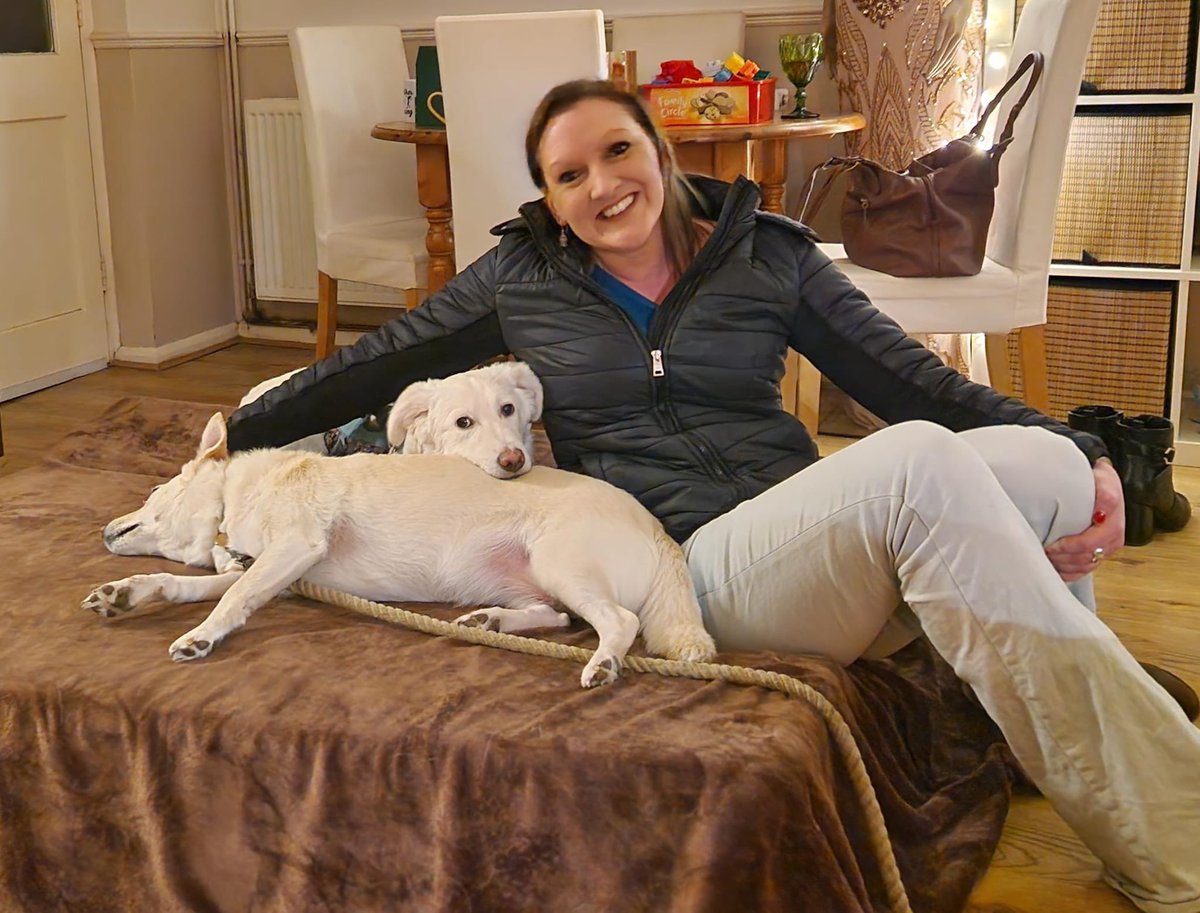 Emily Dance Bristol tweet media