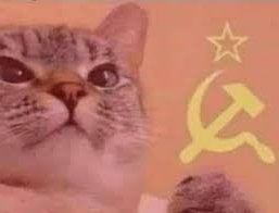 Anthropolegiste's tweet photo. Aujourd'hui j'ai vécu l'apogée de ma carrière j'ai une patiente qui m'a dit en pleurs "en fait le vrai problème c'est le capitalisme", elle a relevé la tête on était comme ça : https://t.co/7mvxF9o31E
