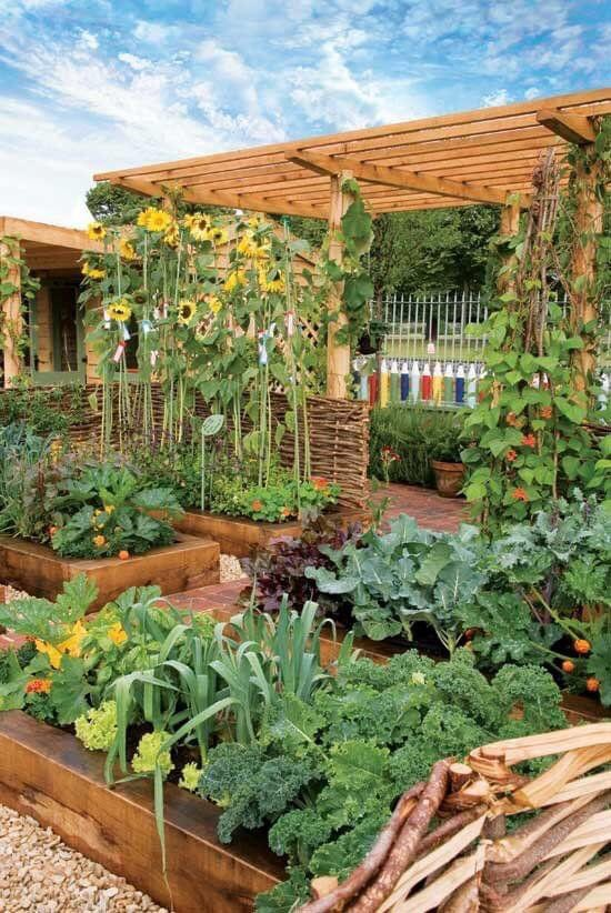 Hello farmers enthusiasts, if you like modern backyard farming, like and repost