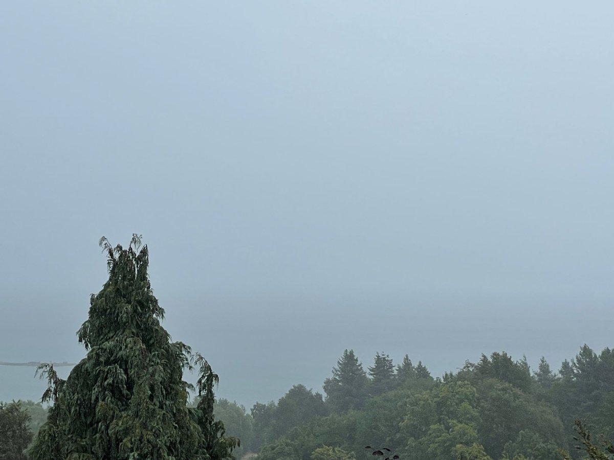 camposulloa's tweet image. Así está la tarde en Lago Ranco. 200 metros de profundidad. Difícil rescate del helicóptero 🚁 para los buzos. A Pdte Sebastián Piñera lo dan por muerto fuentes policiales! La visibilidad CERO igual despegó !