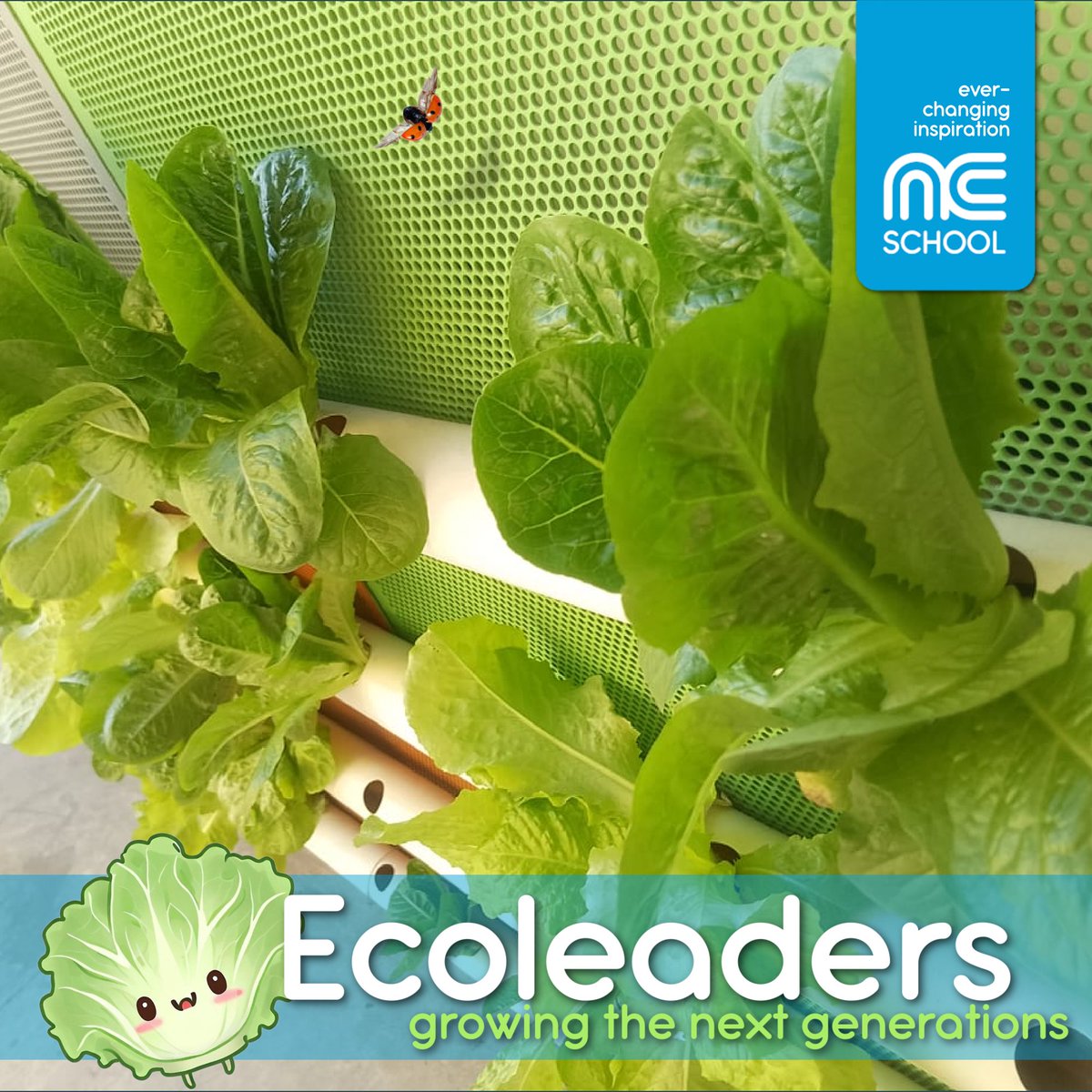 NC School CDMX:

🌱 Nurturing Tomorrow's Leaders! 🌈 Exciting things are sprouting at NC School Preschool EcoLeaders! 🏫👶 Our dedicated team is passionately cultivating a green and sustainable learning environment for the little ones. 🌎✨

#NCSchool #Preschool