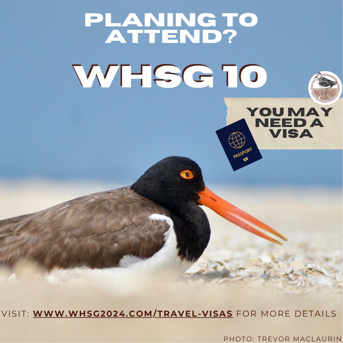Western Hemisphere Shorebird Group 2024 tweet media