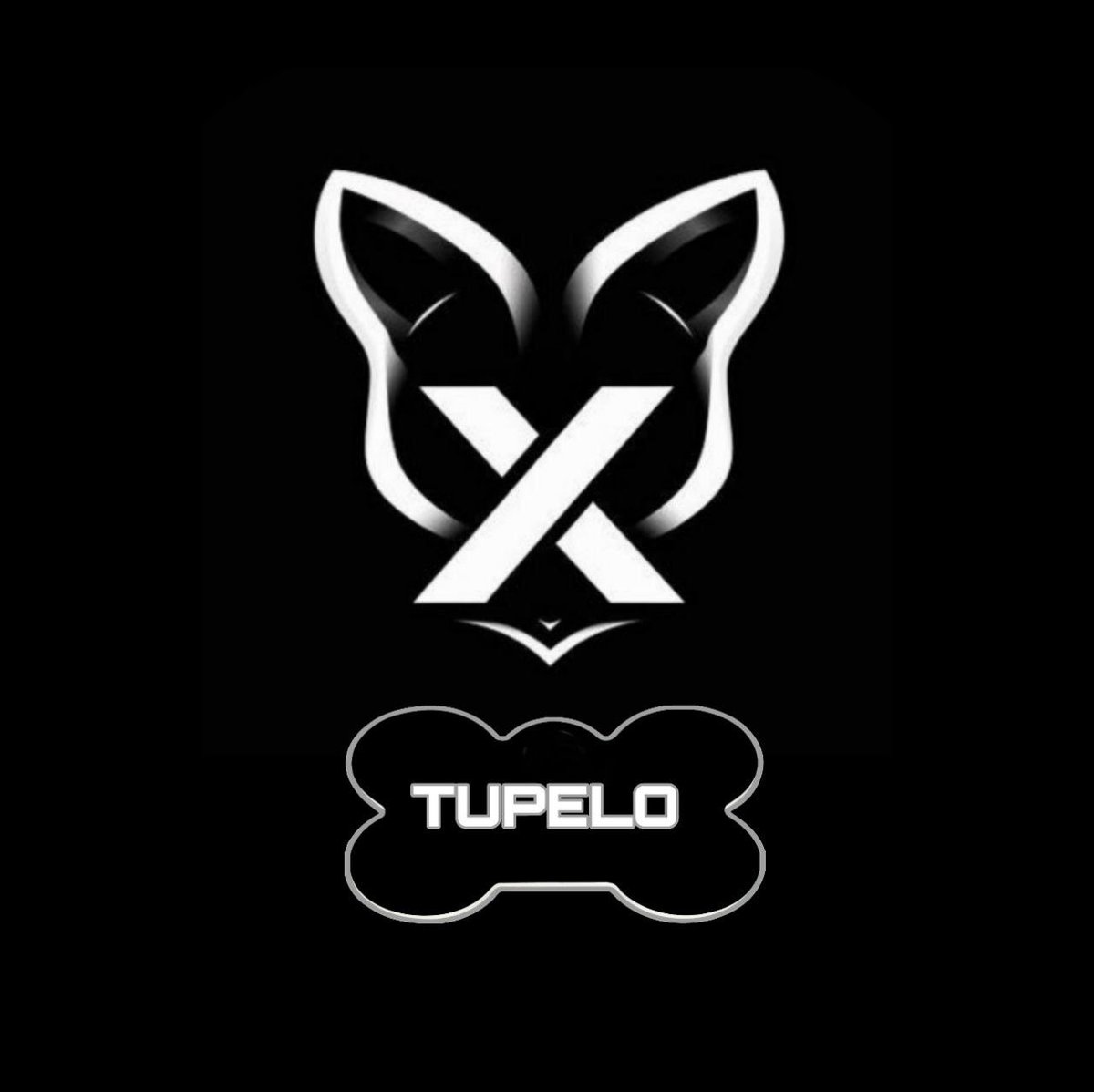 TUPELO tweet media