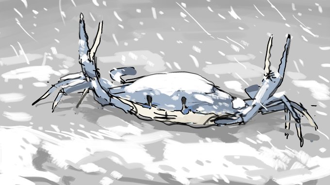 「no humans snowing」 illustration images(Latest)