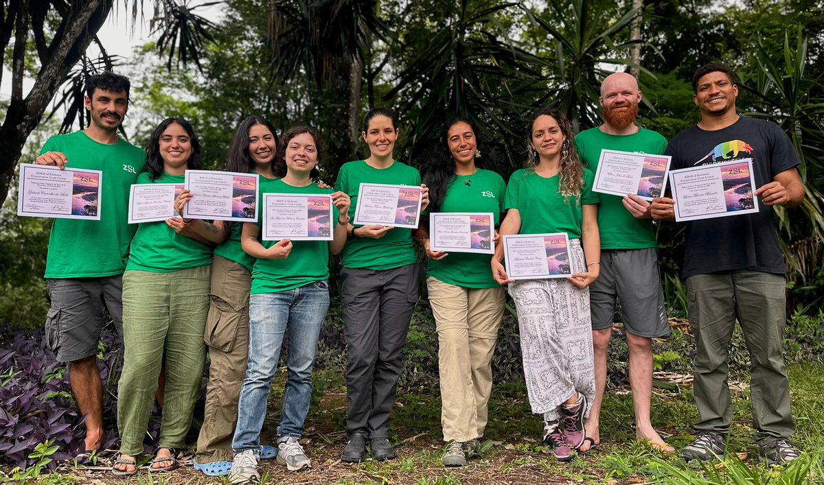 Adara Gonzalez, 6th from left to right, end the EDGE course in Brasil for wildlife conservation. She is Venezuelan, working in Margarita Island with sea turtles. <a href="/FUDENA/">Fudena</a> #minec <a href="/SEEturtles/">SEE Turtles</a>
