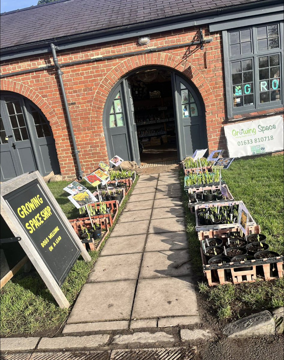 With some dry weather on the horizon, take advantage of our fresh new plants on sale at Tredegar House! 🌿 £3.50 for a 1 litre pot, or 3 for £10 🌿 4.50 for a 2 litre pot, or 3 for £12