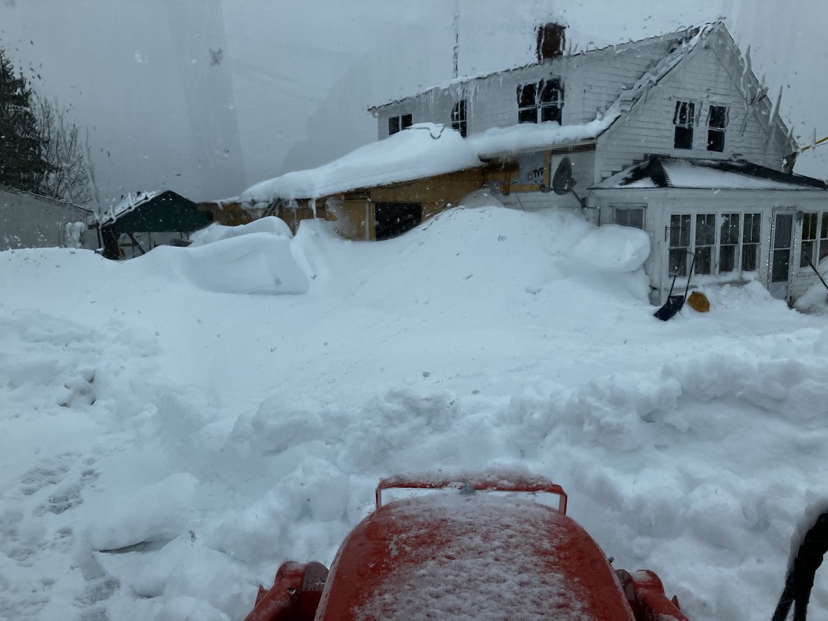 NelsonEdge's tweet photo. Only Took 5 hrs yesterday to clean up after The "Caper Wallop Thanks to my next door neighbour who lent me his #Kubota tractor Englishtown #CapeBreton #nsstorms @KalinMitchelCTV @ryansnoddon @nate https://t.co/usuSlSJfhc