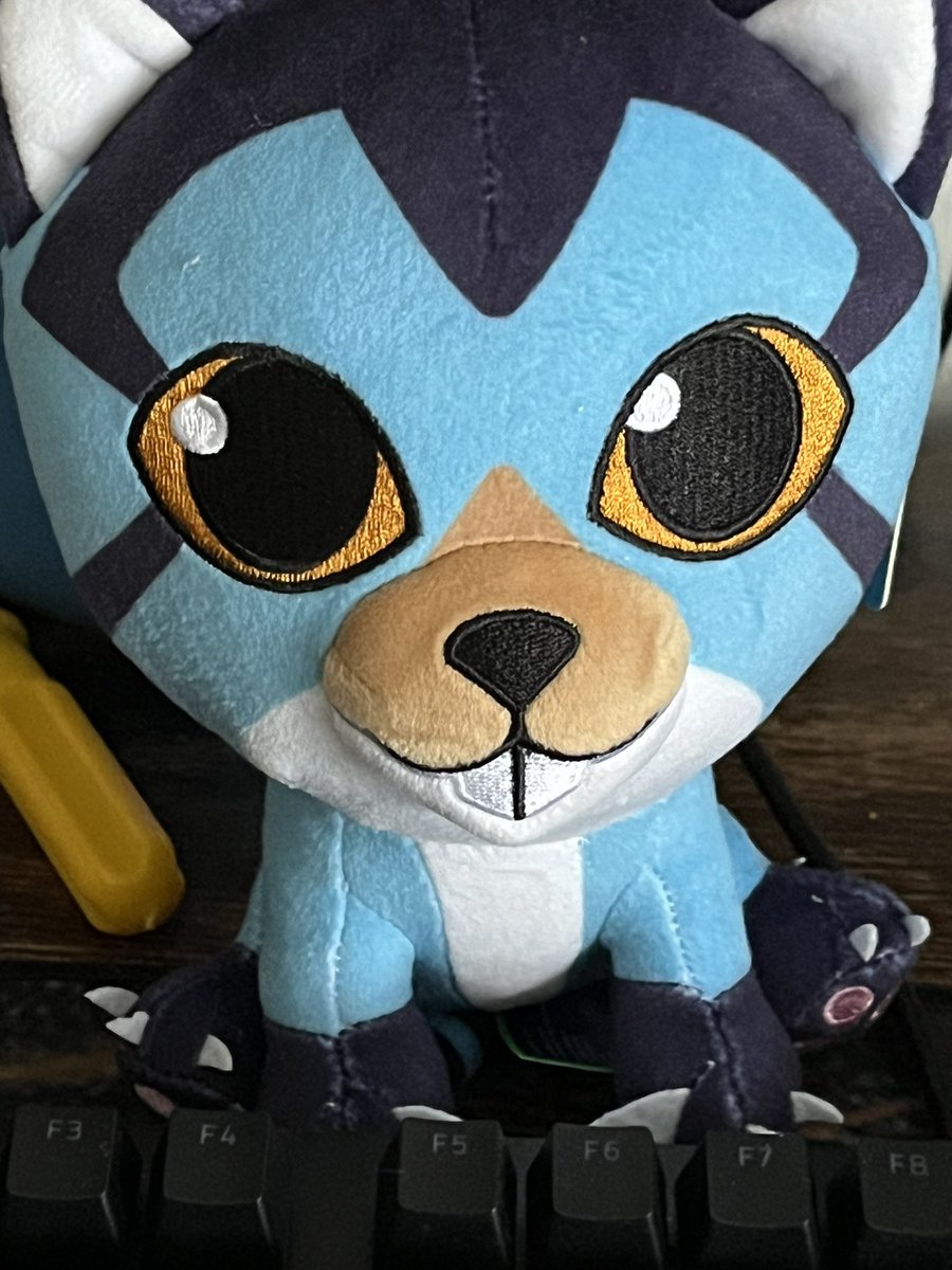 HandMeACookie1's tweet photo. @SyntacYT Got mine today, she is so cute, even with the beaver teeth lol https://t.co/Z1Oyh7l4PG