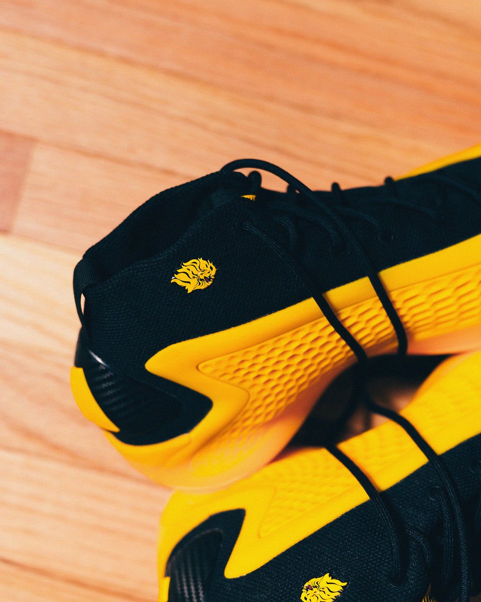 𝐆𝐨𝐥𝐝𝐞𝐧 𝐋𝐢𝐨𝐧𝐬 𝐀𝐭𝐡𝐥𝐞𝐭𝐢𝐜𝐬 tweet media