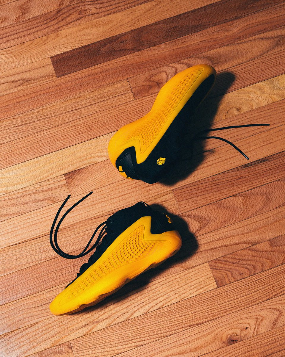 𝐆𝐨𝐥𝐝𝐞𝐧 𝐋𝐢𝐨𝐧𝐬 𝐀𝐭𝐡𝐥𝐞𝐭𝐢𝐜𝐬 tweet media