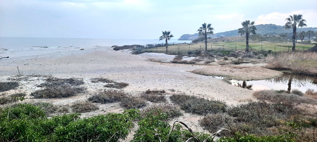 Vakapiupiu's tweet photo. Desembocadura de la riera #Ribes

1.Avui tarda 6 #febrer2024

2. #Novembre2018

3. Estiu #juliol2020 després del temporal #Glòria o de #SantVicenç  #gener2020 

La formació del mini-delta va ser un miratge!
Avui més sec que mai!
@meteo_garraf @BDSitges https://t.co/RpDjqy8Ozq