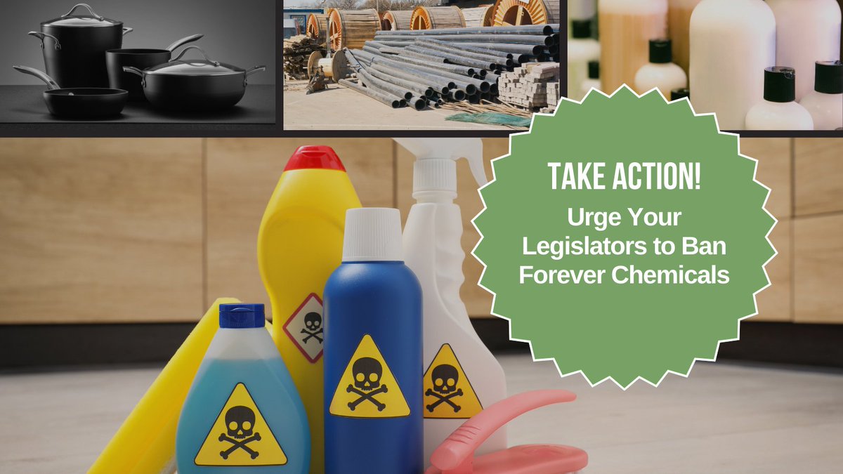 🚨 Action Alert 🚨 Urge your state leaders to ban toxic chemicals, including all #PFAS substances in certain consumer products, especially cookware, building materials, waterproof materials and menstrual care products. actions.nylcv.org/a/pfas
