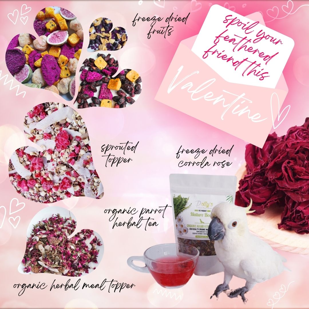 Pollysnaturalp1's tweet photo. Valentine's Day is almost here so pick something special for your precious beak. 
#parrots #parrotfood https://t.co/EQYv54qmQd