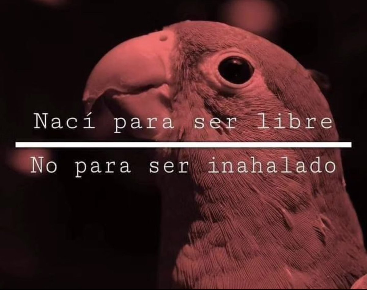 Jóse R Guzmán (@joserguzman) on Twitter photo 