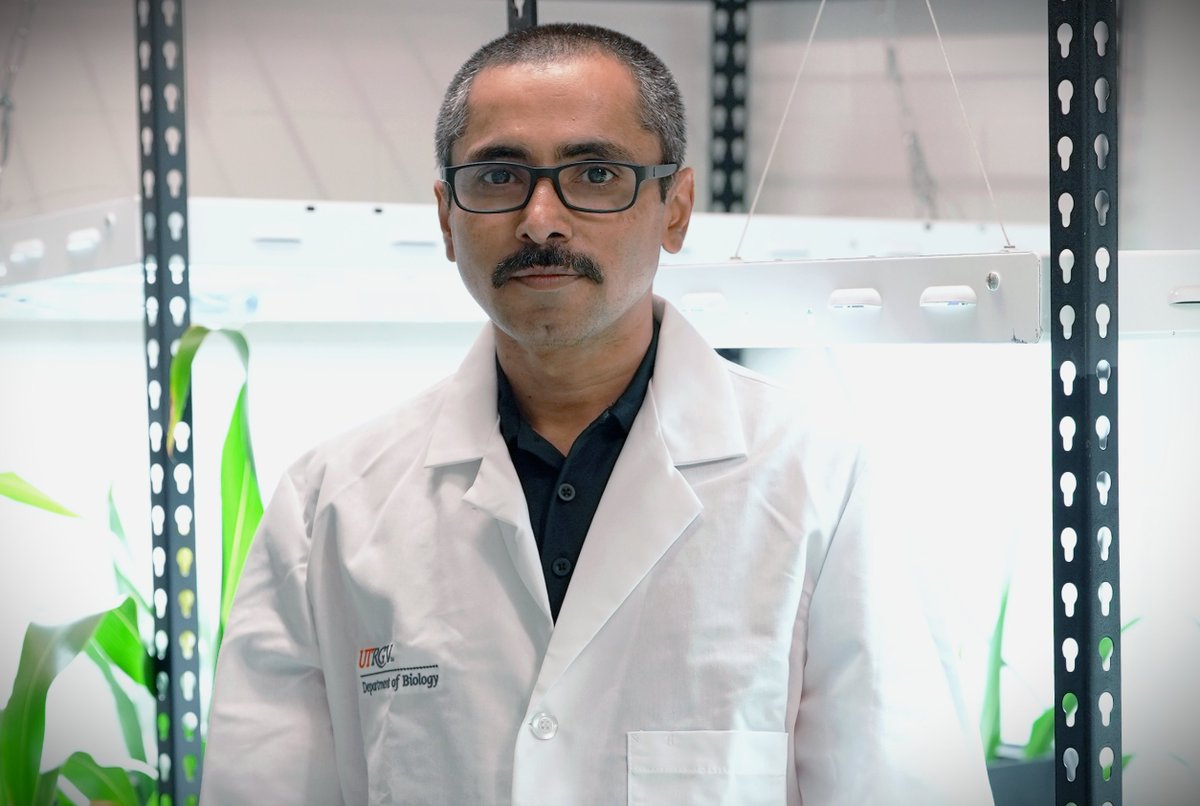 UTRGV Division of Research (@utrgvresearch) on Twitter photo Congratulations to Dr. Manohar Chakrabarti, Assistant Professor at @UTRGV for receiving a $503,000 <a href="/NSF/">U.S. National Science Foundation</a> grant to enhance crop resilience to climate stress, advancing climate-smart agriculture in the Rio Grande Valley. bit.ly/3uf95xj. Congratulations to Dr. Manohar Chakrabarti, Assistant Professor at @UTRGV for receiving a $503,000 <a href="/NSF/">U.S. National Science Foundation</a> grant to enhance crop resilience to climate stress, advancing climate-smart agriculture in the Rio Grande Valley. bit.ly/3uf95xj.