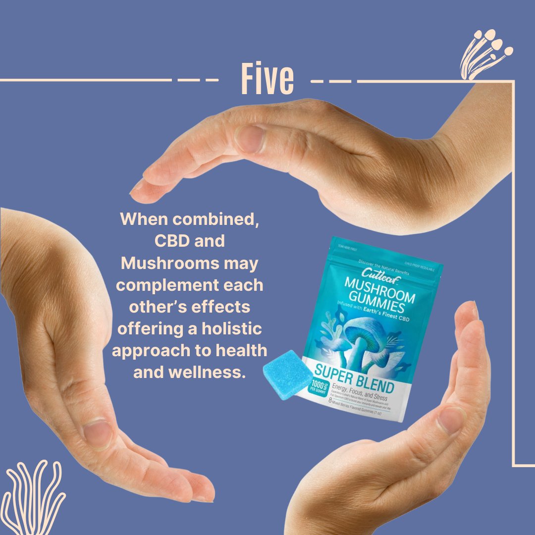 MushroomsMarket's tweet photo. Shop yours now by visiting the link in our bio! Enjoy rewards on every shipping! ๐๐๏ธ
Happy #Tuesday Everyone! #mushroomsmarket #mushroomgummies #cutleaf #cutleafmushroomgummies #mushroomsupplements #CBD #Mushrooms #NaturalHealing #HolisticWellness https://t.co/qzS5MwmMZP
