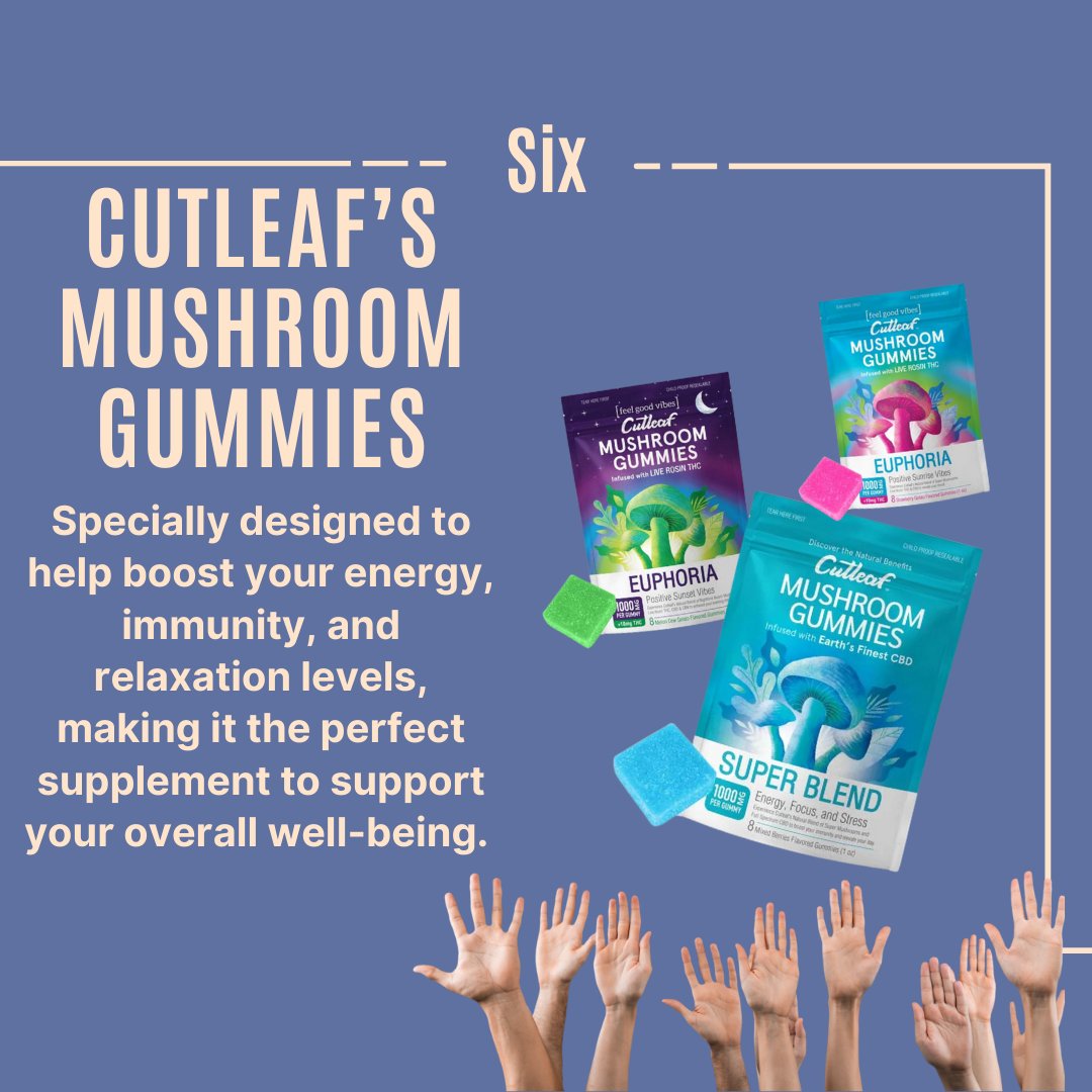 MushroomsMarket's tweet photo. Shop yours now by visiting the link in our bio! Enjoy rewards on every shipping! ๐๐๏ธ
Happy #Tuesday Everyone! #mushroomsmarket #mushroomgummies #cutleaf #cutleafmushroomgummies #mushroomsupplements #CBD #Mushrooms #NaturalHealing #HolisticWellness https://t.co/qzS5MwmMZP