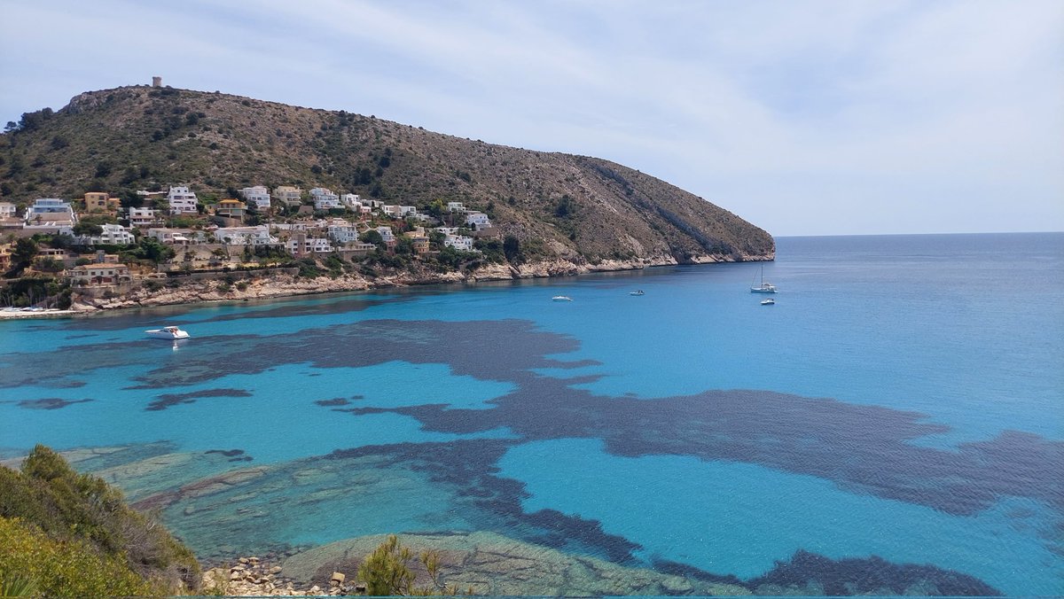 Iñaki S. tweet media